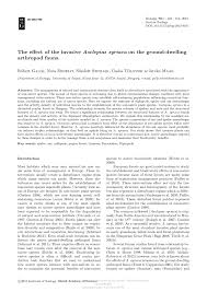Asclepias syriaca can be invasive. Pdf The Effect Of The Invasive Asclepias Syriaca On The Ground Dwelling Arthropod Fauna