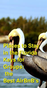 Certain airbnb hosts allow pets, and can be found by filtering your search on the website or in the app. The Best Places To Stay In The Florida Keys For Groups Airbnb S In Key West Islamorada