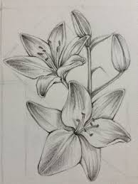 Flower En 2020 Dessin De Fleurs Au Crayon