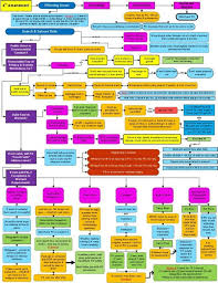 Criminal Procedure 4th Amendment Flowchart Www