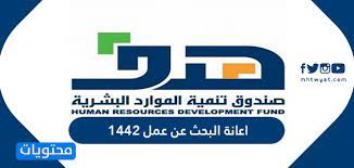 أساسيات البحث عن وظيفة للمدراء والمسؤولين التنفيذيين (الجزء الأول). Ntkrku Umfjajm
