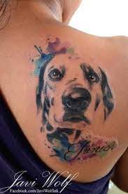 Pin On Bella Dog