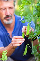 30+ food miles photos and videos available for editorial and commercial  licensing and download