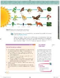 Paco el chato by renovación magist. Flujo De Energia En El Ecosistema Ayuda Para Tu Tarea De Ciencias Y Tecnologia Biologia Sep Secundaria Primero Respuestas Y Explicaciones