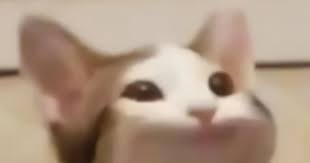 This bot addresses this issue and will not get you banned. Popcat