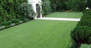 Pin By Kiki Towers On A Bawse Home In 2021 Zoysia Grass Zoysia Grass Seed Artificial Grass Patio