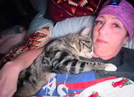 This was my beloved Bug. Love Bug but we called him Bug. He was diabetic  and the rescue was going to put him to sleep. I felt like it was destiny  that