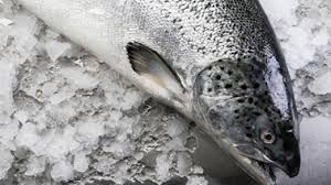 Img Suggestions Saumon Saumon Fruits Et Legumes Frais Poisson Saumon