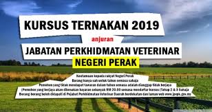 Kursus ini telah dihadiri oleh 35 orang peserta dari seluruh bahagian negeri sarawak. Kursus Ternakan Anjuran Veterinar Perak Cute766