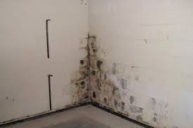 Why is my basement so humid? When High Humidity In Your Basement Is A Problem