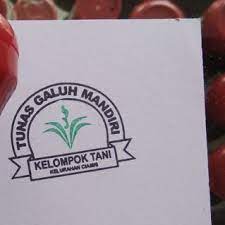 Dalam pembentukan awal kelompok tani, seperti halnya dengan lembaga lainnya, tentunya. Buat Stempel Otomatis Logo Perusahaan Warna Lunas Ukuran D35 Shopee Indonesia