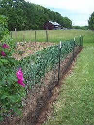 We did not find results for: Fencing The Big Garden Steemit