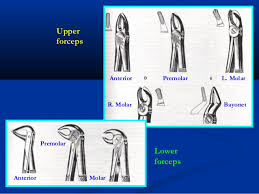 Rules Of Using Dental Forceps Elevator