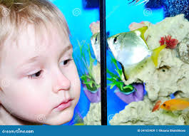 16,108 Fish Boy Stock Photos