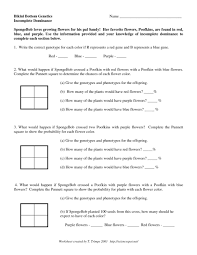 Provide a punnett square to support your answers where indicated. Incomplete Dominance And Codominance Worksheet Answer Key Practices Worksheets Graphing Worksheets Worksheets