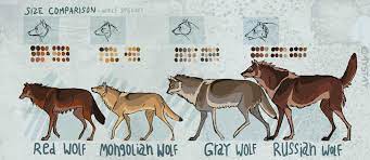Size Comparison By Aystay On Deviantart North American Wolf Maned Wolf Eurasian Wolf