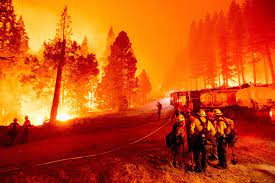 The caldor fire has been ablaze for 16 days and has scorched 177,260 acres of land across el dorado county, the heart of one of california's most prominent recreation wilderness areas. H0t Mnc Yre0m