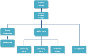 70 Unbiased Veterinary Chart