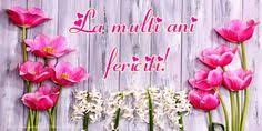 Iti doresc un mare la multi ani! plin cu stima si respect de fie ca toate visele sa devina realitate, si tu sa fii fericita, la multi ani! 47 La Multi Ani Ideas Happy Birthday Birthday Birthday Wishes