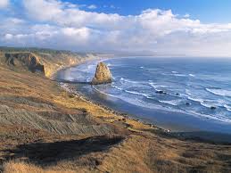 Maybe you would like to learn more about one of these? Cabin Fever Virtual Vacationist
