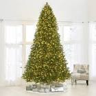 (Damaged)The World's Best Prelit LED Noble Fir