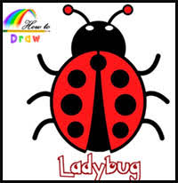Begin by drawing an oval to form the cartoon ladybug's body. How To Draw Cartoon Ladybugs Realistic Ladybugs Drawing Tutorials Drawing How To Draw Ladybugs Drawing Lessons Step By Step Techniques For Cartoons Illustrations