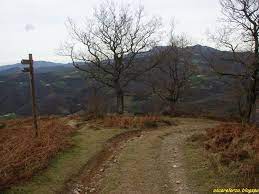 Wikiloc | Itinéraire Azkua y Menditxorrotx ( Circular desde Echalar/Etxalar  por la ermita de Santa Cruz )