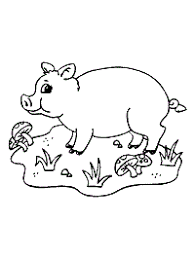 Javelina, also known as collared peccary, is a species of hoofed mammal that belongs to the family of new world pigs. Pigs Coloring Pages And Printable Activities Hogs