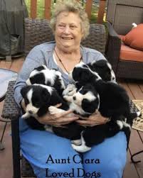 Maybe you would like to learn more about one of these? Clara Polk Obituary 1941 2020 Mt Jackson Va Daily Press