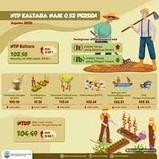 Yuk mutualan, bantu akun ini sampai 300 followers ya thank you. Ntp Kaltara Naik 0 52 Persen Dinas Komunikasi Informatika Statistik Dan Persandian