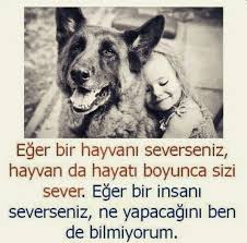 Ne Kadar Da Dogru Hayvan Sozleri Hayvan Haklari Hayvan