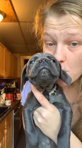 Mi estimado maestro alquilamos máquinas de construcción como sapo planchas  concretera elevadores alisadora columnas encofrado vibrador etcétera y  damos servicio de entregar armado y fundido para todo tipo de hobras y para