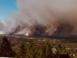 Os ativos que pertenciam a esta rede foram transferidos para as autoridades regionais, uma transferência que foi então muito criticada e que levou ao rápido. Mais De Mil Bombeiros Combatem Incendios Em Vila De Rei Serta E Macao Incendios Florestais Publico
