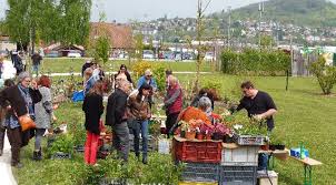 Vide Jardin Et Troc Plantes La Presse De Vesoul