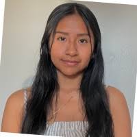 2800+ perfiles de «Remache»