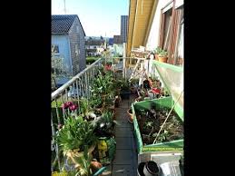 Nggak perlu lahan yang luas untuk menanam sayuran. Berkebun Di Lahan Sempit Balkon Rumah Youtube