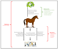 Veterinary Sciences Free Full Text Horses As A Crucial Part Of One Health Html