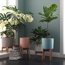 Alibaba.com adds glamor to your furniture with designer & luxurious west elm. Mid Century Turned Leg Standing Planters Matte