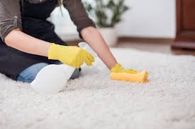 3 praktische tipps, die jeder kennen sollte. Teppich Reinigen Hausmittel Gerate Gegen Schmutz Flecken