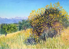 Mic arbust cu frunze lanceolate şi cu flori. The Broom La Ginestra Painting By Roberto Pasquinelli Saatchi Art