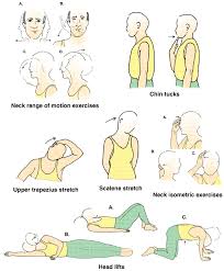 Neck Exercises Neck Exercises Neck Strain Exercises Physical Therapy Exercises
