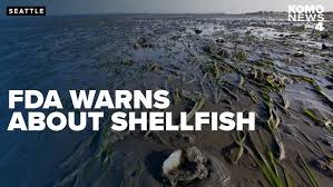 Image result for Paralytic Shellfish Poisoning