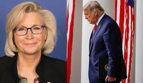 (cnn) liz cheney is striking a nerve. 89fisgf2jap8rm