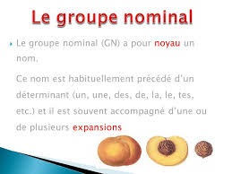 Le Lundi 14 Novembre Qu Est Ce Que Le Groupe Nominal Ppt Video Online Telecharger