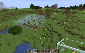Read on for 14 cool facts about honey bees. Mc 164594 Bees Can Pass Through Glass Out Of A Farm Jira