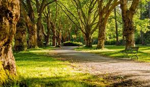 Descargar Fondo Virtual Para Zoom Busqueda De Google Background Photo Backgrounds Free