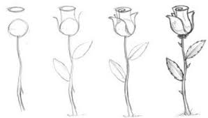 Sketch the flower lightly in pencil. Drawing Easy Beginner Easy Drawings Step By Step Flowers