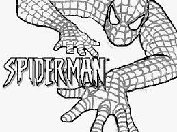 Spiderman E Il Testo Disegno Da Colorare Gratis Sul Pc Disegni Da