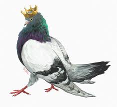 Image Result For Pigeon King Pigeon Cute Pigeon Bird Design