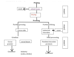 The Diagram Shows The Stages Of Processing Cocoa Beans